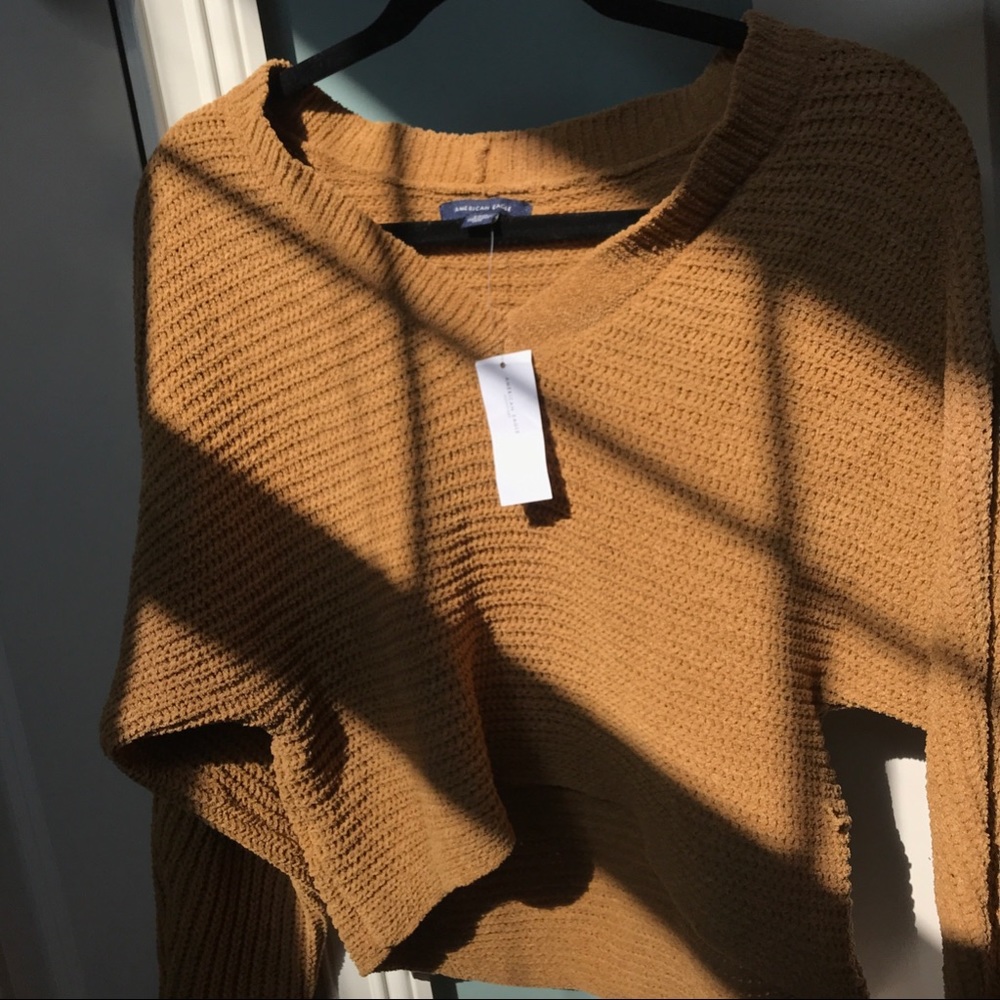American Eagle brown knit sweater